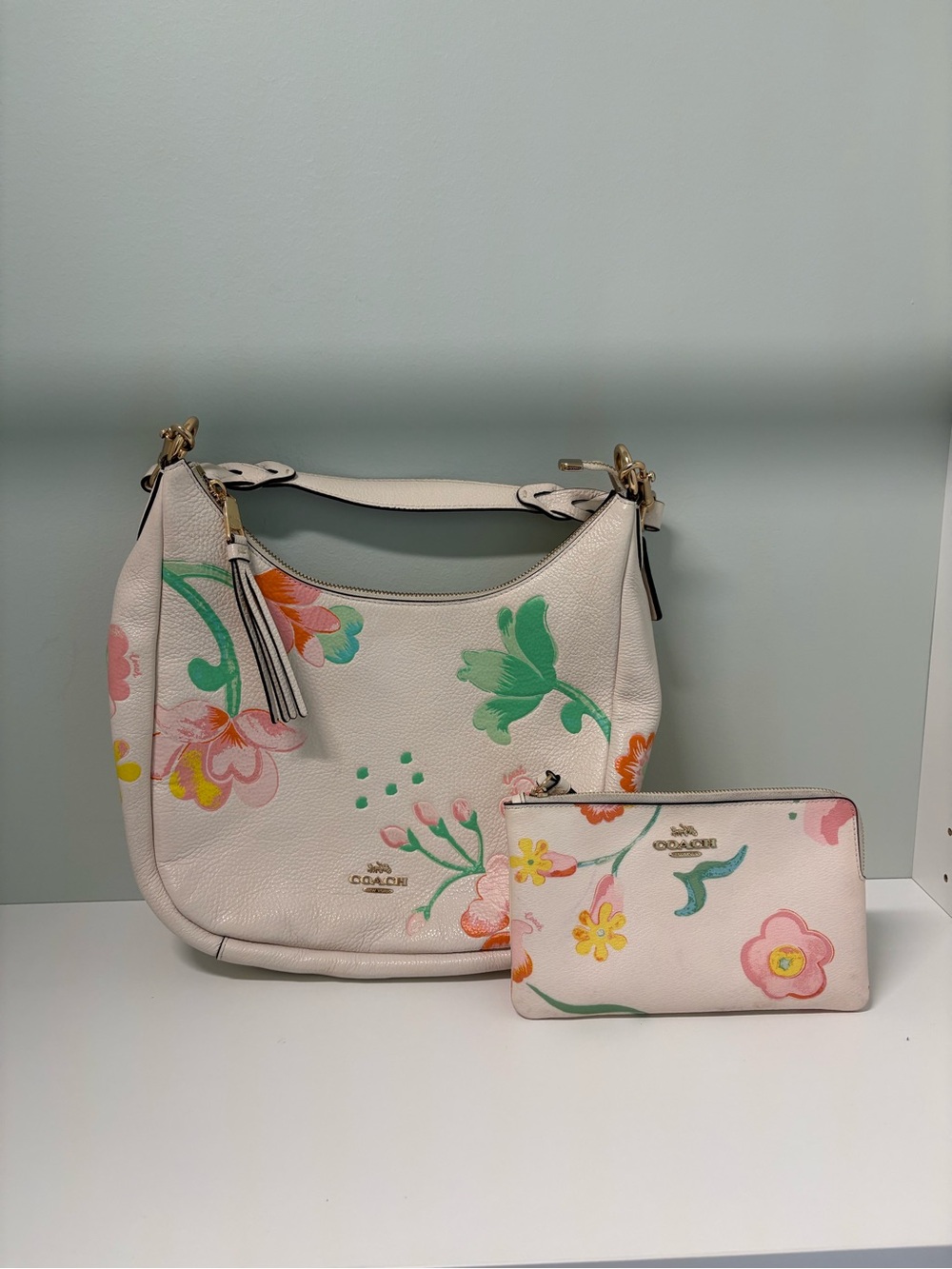 Coach Jules Hobo Dreamy Land Floral Print C8619 with matching wristlet.
